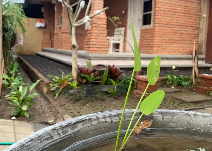 Ambara Tampaksiring